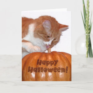 Happy Halloween Cute Cat met pompoen Kaart