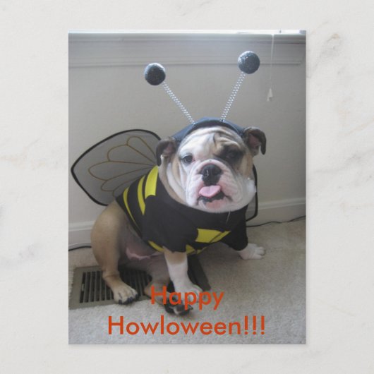 Happy Halloween, English Bulldog Feestdagenkaart (Voorkant)