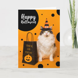 Happy Halloween For Anyone Cute Cat in Witch Hat  Feestdagen Kaart