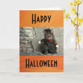 Happy Halloween Funny Cat Costume Humor Kaart (Gele Bloem)