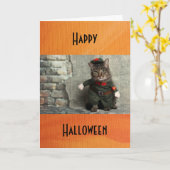 Happy Halloween Funny Cat Costume Humor Kaart (Gele Bloem)