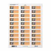 Happy Halloween Ghost en Pumpkins Etiket (Full Sheet)