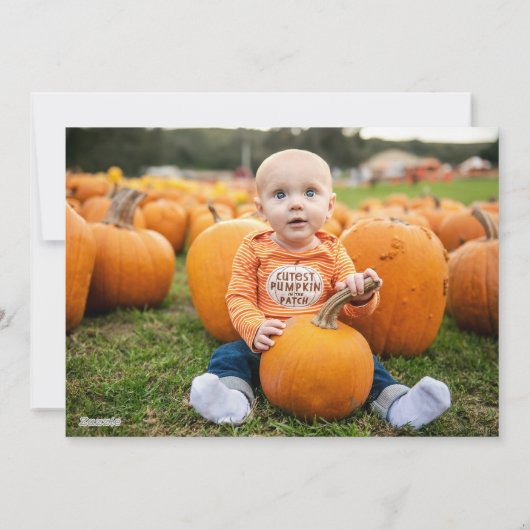 Happy Halloween | Het is de Grote Pompoen Feestdagenkaart (Achterkant)