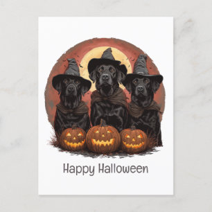 Happy Halloween Labrador Retriever Dogs Witch Pett Briefkaart