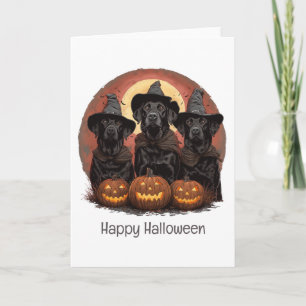 Happy Halloween Labrador Retriever Dogs Witch Pett Kaart