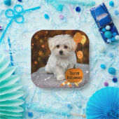 Happy Halloween, Maltese puppy, Papieren Bordje (Feest)