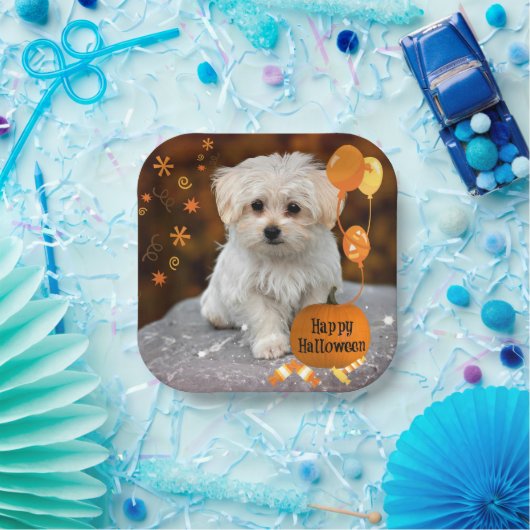 Happy Halloween, Maltese puppy, Papieren Bordje (Feest)