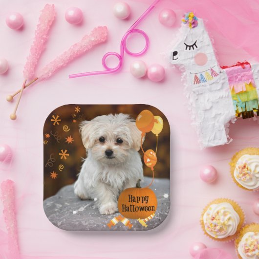 Happy Halloween, Maltese puppy, Papieren Bordje (Feest)