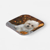 Happy Halloween, Maltese puppy, Papieren Bordje (Gebogen)