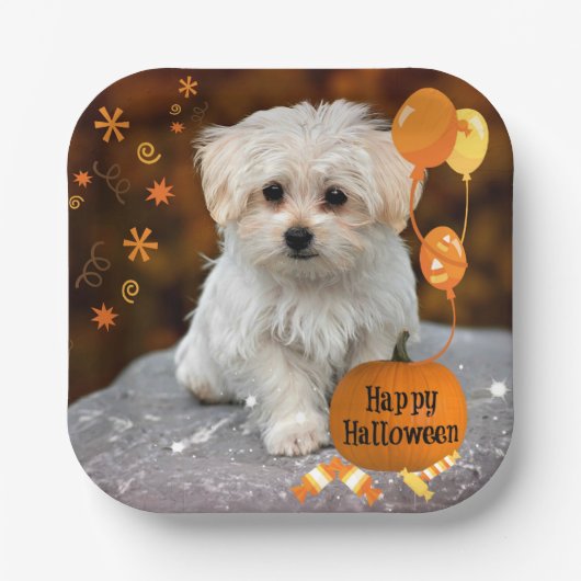Happy Halloween, Maltese puppy, Papieren Bordje (Voorkant)