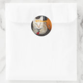 Happy Halloween Oranje Tabby Cat met pompoen Ronde Sticker (Tas)