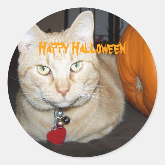 Happy Halloween Oranje Tabby Cat met pompoen Ronde Sticker (Voorkant)