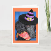 Happy Halloween-Pet poolkaart Kaart (Voorkant)