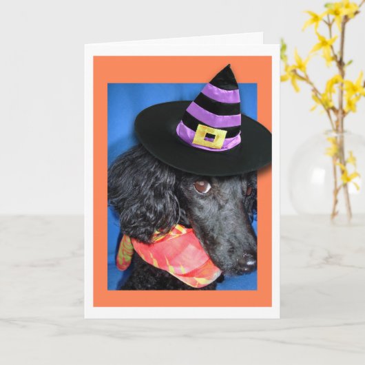 Happy Halloween-Pet poolkaart Kaart (Gele Bloem)
