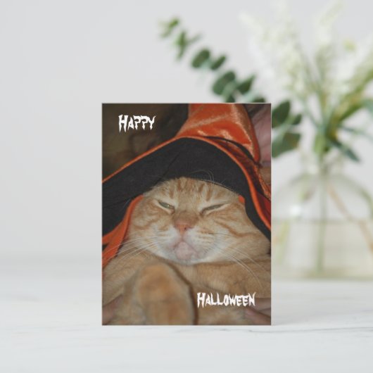 Happy Halloween-Post-kaart Briefkaart (Staand voorkant)
