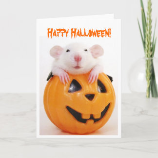 Happy Halloween Pumpkin Rat Kaart