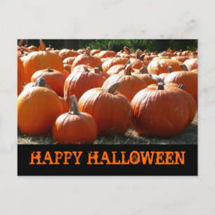 Happy Halloween Pumpkins Card Briefkaart