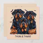 Happy Halloween Rottweiler Honden Jack O Lantern Kaart (Voorkant / Achterkant)