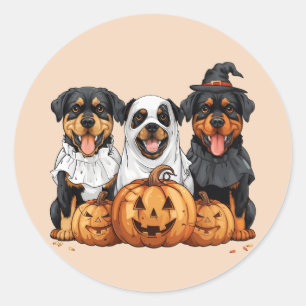 Happy Halloween Rottweiler Honden Jack O Lantern Ronde Sticker