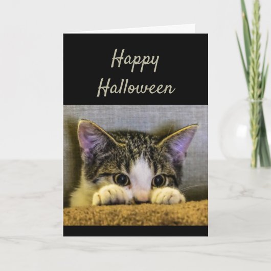Happy Halloween Schattige Bang Kitten Grappig Kaart (Voorkant)