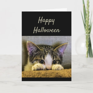 Happy Halloween Schattige Bang Kitten Grappig Kaart