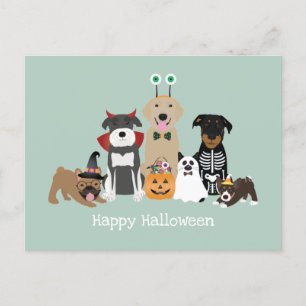 Happy Halloween Spooky Pet Costumes Briefkaart