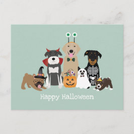 Happy Halloween Spooky Pet Costumes Briefkaart