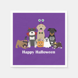 Happy Halloween Spooky Pet Costumes Servet