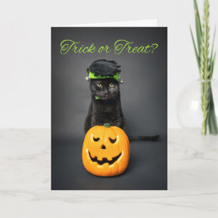 Happy Halloween voor iedereen Kat in Monster Costu Feestdagen Kaart