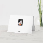 Happy Halloween Witch Cat Card Kaart (Achterkant)