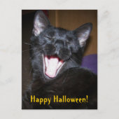 Happy Halloween Yawn Black Cat Briefkaart (Voorkant)