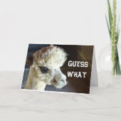 HAPPY *HALLOWEEN* ZEGT LLAMA KAART (Voorkant)