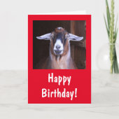 Happy Handsome Goat Birthday Kaart (Voorkant)