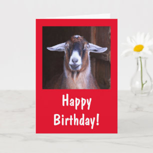 Happy Handsome Goat Birthday Kaart