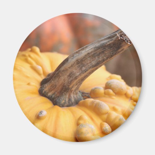 Happy Harvest! Magneet (Voorkant)