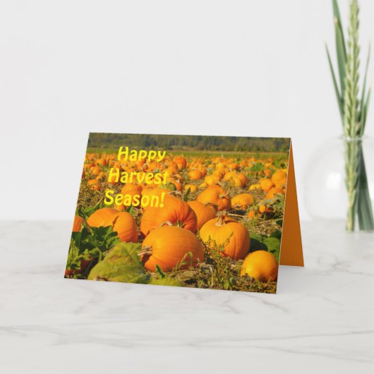 Happy Harvest Season, Pumpkin Patch Scene Greeting Kaart (Voorkant)