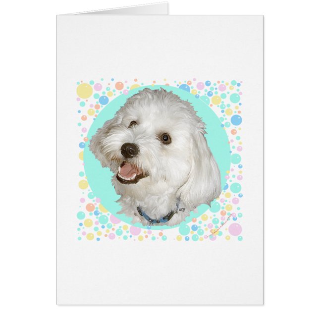 Happy Havanese (Voorkant)
