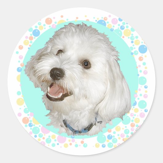 Happy Havanese Ronde Sticker (Voorkant)