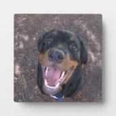 Happy Heidi Rottweiler Photo Plaque Fotoplaat (Voorkant)