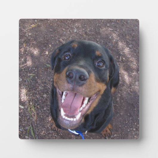 Happy Heidi Rottweiler Photo Plaque Fotoplaat (Voorkant)
