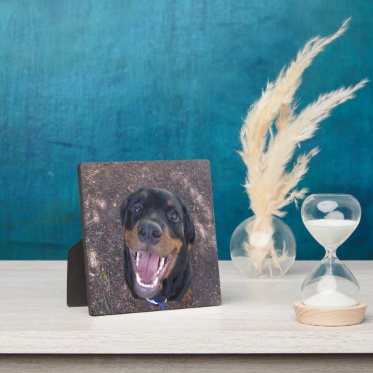 Happy Heidi Rottweiler Photo Plaque Fotoplaat (Insitu)
