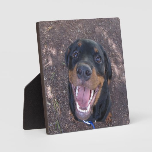 Happy Heidi Rottweiler Photo Plaque Fotoplaat (Voorkant)