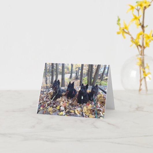 Happy Herfst Kaart (Gele Bloem)