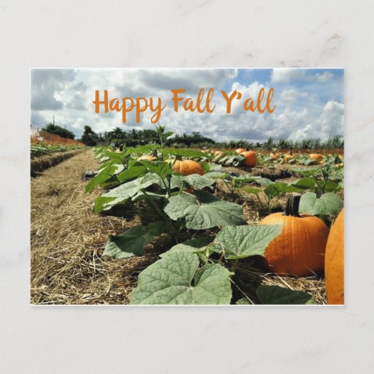Happy Herfst Pumpkins in een Patch Foto Briefkaart (Voorkant)