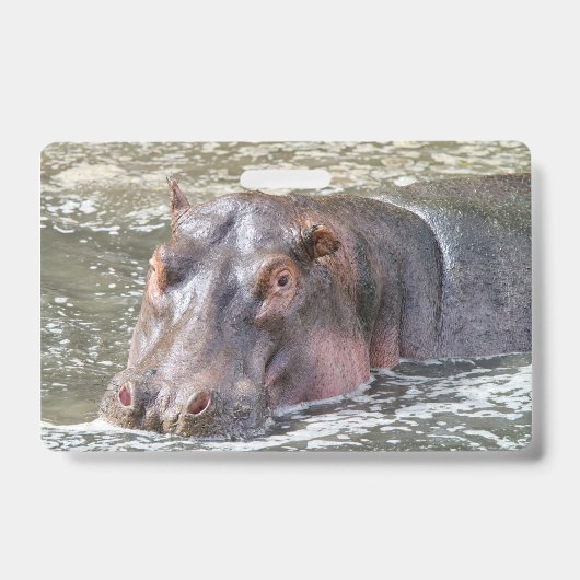 Happy Hippo Badge (Voorzijde)