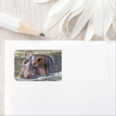 Happy Hippo Etiket (Insitu)