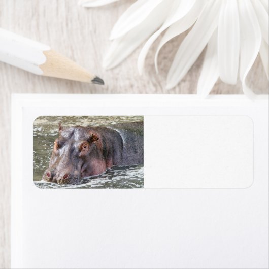 Happy Hippo Etiket (Insitu)