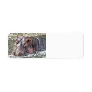 Happy Hippo Etiket