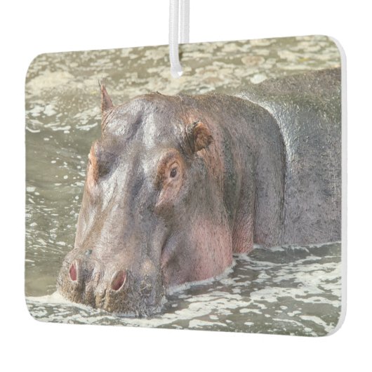 Happy Hippo Luchtverfrisser (Links)