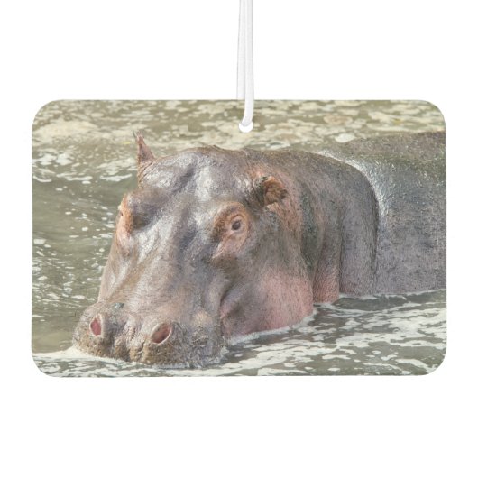 Happy Hippo Luchtverfrisser (Voorkant)